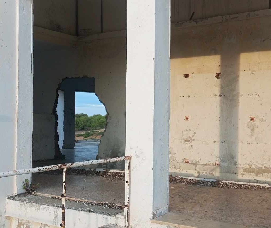 بنزرت إحياء ملف مركز تكوين الشباب بالناظور من جديد ودعوات إلى رئيس الجمهورية لإنقاذ معلم شبابي تحوّل إلى “خربة”